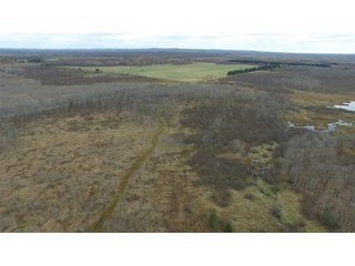 Property photo 26 - REAL ESTATE AUCTION - 1,428+/- ACRES OFFERED IN 10 TRACTS IN PRICE CO., WI